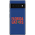 University of Florida Gators Google Pixel 6 Pro Skin